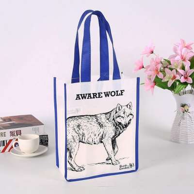 Non-woven Material Shopping Bag